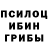 Псилоцибиновые грибы GOLDEN TEACHER Love Timmie