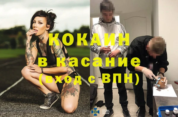 крисы Медногорск