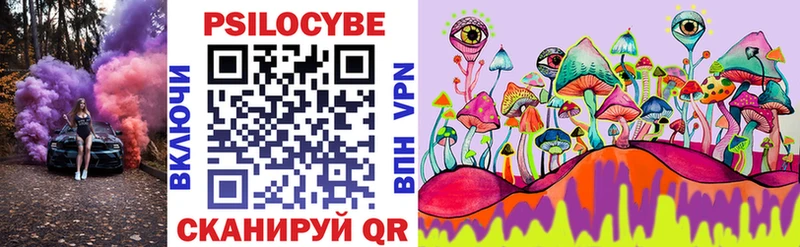 Псилоцибиновые грибы Psilocybine cubensis  Купить где  Бакал 